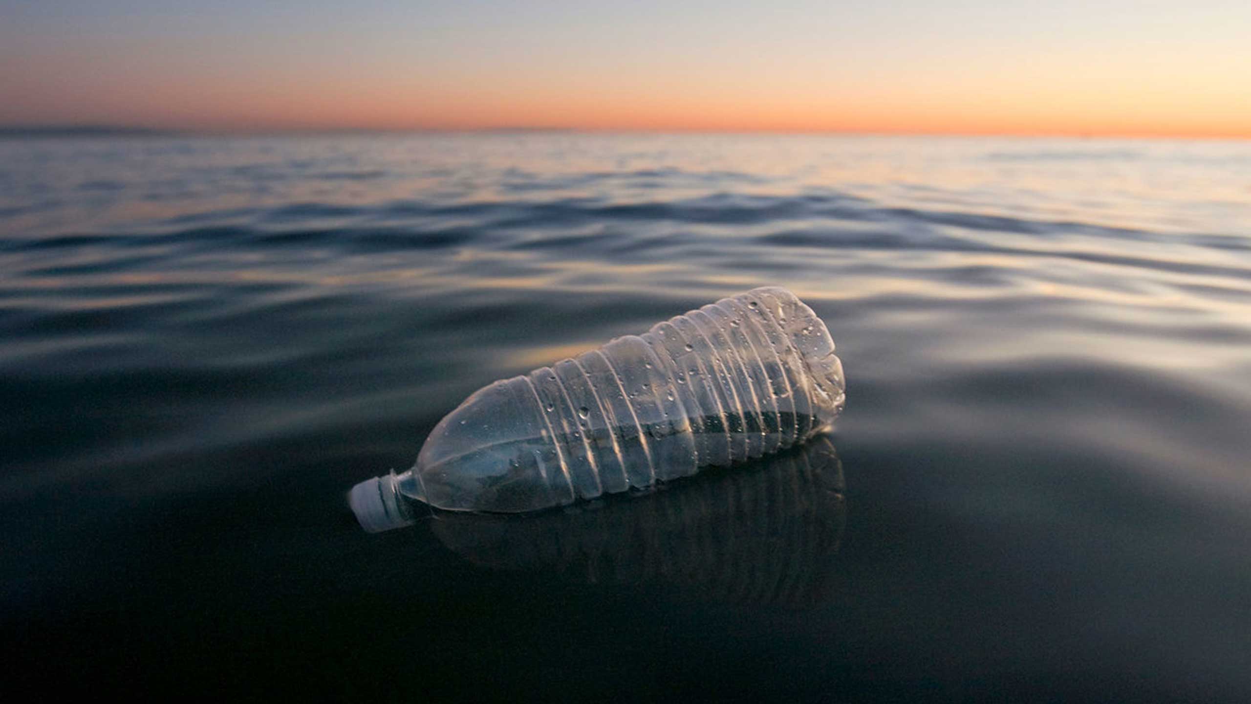 Medio Ambiente: ¿Es el plástico el verdadero problema?